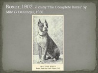 /album/%cf%80%ce%b7%ce%b3%ce%ae-%3a-boxernews-forumcommunity-net/%ce%b1%ce%bd%cf%84%ce%af%ce%b3%cf%81%ce%b1%cf%86%ce%bf-%282%29-%ce%b1%cf%80%cf%8c-10417636-731607526894560-8601229746748064333-n-jpg/